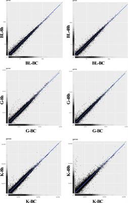 Impact of Ringer’s Solution Challenge Stress to Immunostimulatory Experiment, Insights From Japanese Flounder